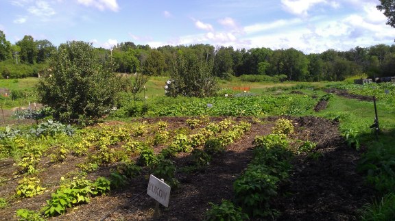 University of Wisconsin at Madison Farm "F.H. King Students for Sustainable Agriculture" 